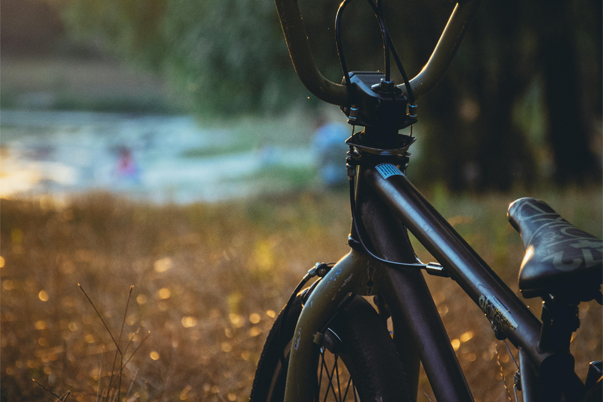 Dr Bike 1